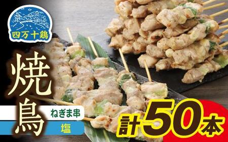 高知県産四万十鶏 ネギマ串 (塩) 50本 [株式会社 羽根] [ATCK008]