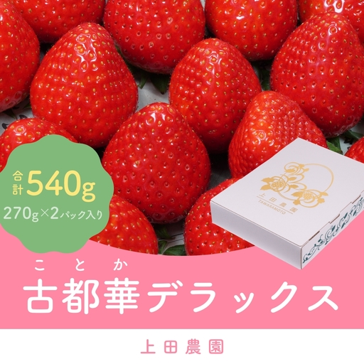 （冷蔵）【１月発送分】イチゴ 奈良県産高級ブランド品種「古都華」デラックス（270g×２パック） ／ ストロベリー ことか 上田農園 苺 いちご 果物 フルーツ 甘い 奈良県 田原本町
