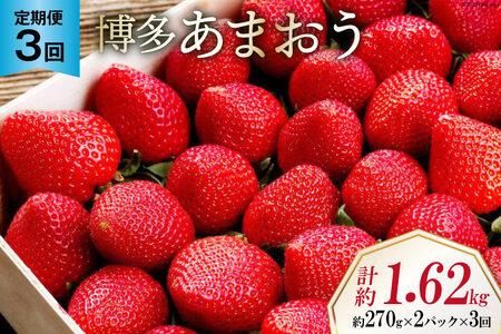 期間限定発送 【3回 定期便 】 いちご 博多 あまおう 約270g×2パック×3回 総計約1.62kg