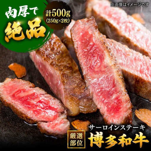 博多和牛 サーロイン ステーキ セット 500g [250g×2枚] 桂川町/株式会社 MEAT PLUS [ADAQ010] 和牛サーロイン 国産 サーロイン ステーキ ステーキ用