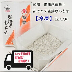 まるとも海産 紀州湯浅湾直送!茹でたて釜揚げしらす(冷凍)箱入[定期便]1kg×12回_C6020n