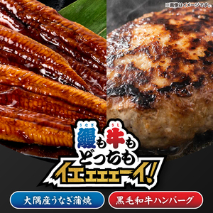 2266 鰻も牛もどっちもイエェェェーイ！セット2 KN050-003-02 冷凍 肉 魚 黒毛和牛