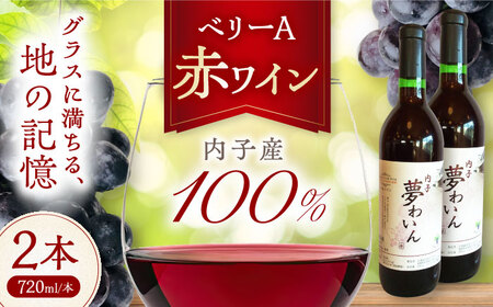 赤ワイン (ベリーA) 約720ml 2本 BKAG007 ワイン