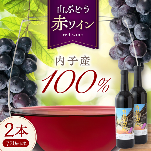 赤ワイン (山ぶどう) 約720ml 2本 BKAG015 ワイン