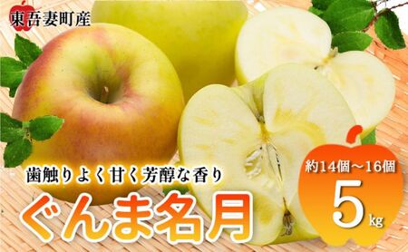 東吾妻町産 りんご ぐんま名月　5kg(14個から16個）リンゴ アップル 果物類 フルーツ 果物 果汁豊富 