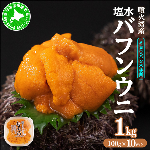 北海道 噴火湾産 塩水 バフンウニ 100g 10パック 計1kg 《アフター保証付き》