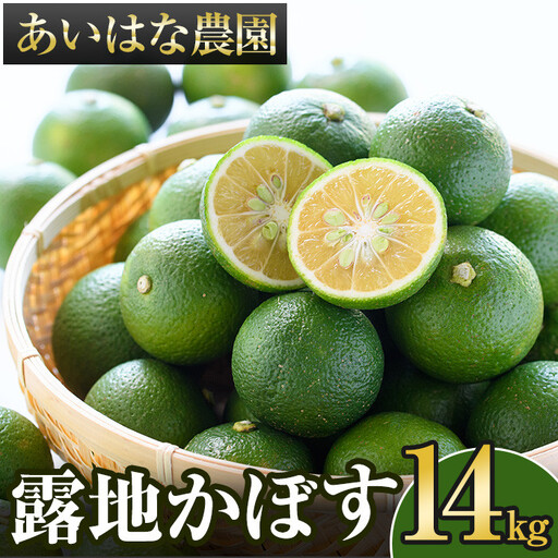 ＜先行予約受付中！2026年8月上旬以降順次発送予定＞露地カボス(約14kg)かぼす カボス 柑橘 特産品 大分県産【107100903】【あいはな農園】