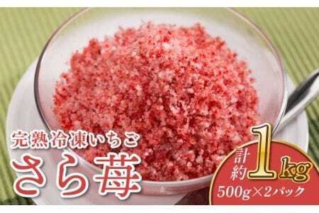 いちご 冷凍 1kg (500g×2パック) 完熟 冷凍 いちご 「さら苺」 1kg(500g×2パック) 園村苺園 熊本県産冷凍いちご 宇城市産冷凍いちご 九州産冷凍いちご