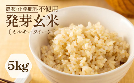 【令和7年産】発芽玄米 ミルキークイーン 5kg 無洗米 米 玄米 [B-2955] 