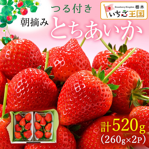 【先行予約】いちご とちあいか つる付き 2パック箱 ※2026年12月～発送