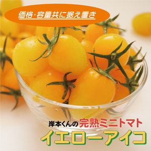 岸本くんの完熟ミニトマト イエローアイコ 180gパック×8 発送期間：2025年12月1日-2026年5月10日