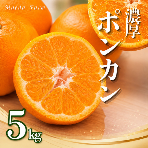 【愛南産ポンカン】冬の柑橘ポンカン 5kg