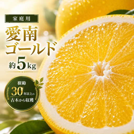 家庭用 愛南ゴールド(河内晩柑)約5kg みかん 蜜柑 河内晩柑 グレープフルーツ 柑橘 果物 フルーツ 前田ファーム 愛媛 愛南 [発送期間 3月下旬〜5月上旬 ](なくなり次第終了)