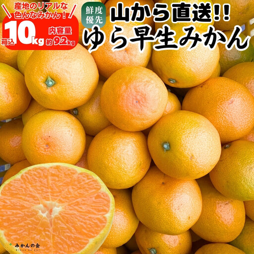 ゆら早生 みかん 山から直送 箱込 10kg (内容量 9.2kg) 採れたてそのままごろごろ規格 有田みかん 和歌山県産 【みかんの会】［2026年10月下旬頃より順次発送予定］