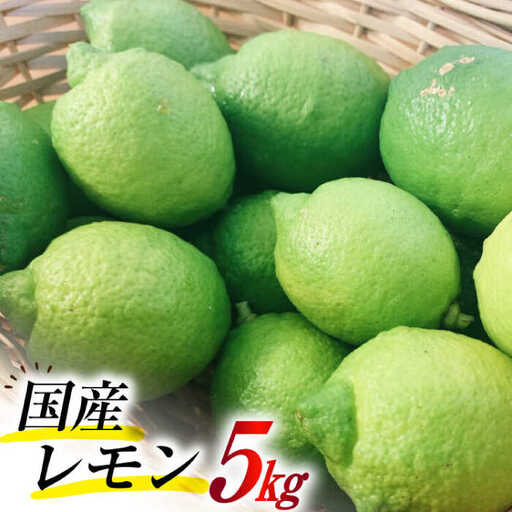【2026年8月下旬-発送】国産レモン 璃の香（りのか）5kg  / レモン れもん 檸檬 国産 柑橘 / 南島原市 / 長崎県農産品流通合同会社 [SCB079]