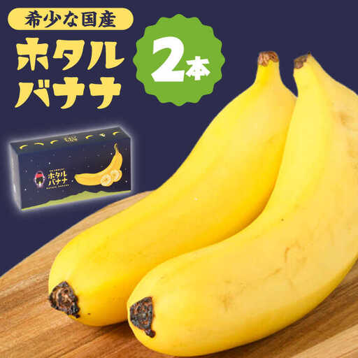 【テレビで話題！】【とても希少な国産バナナをあなたへ！】hotaru バナナ 2本 / ばなな 果物 フルーツ / 南島原市 / hotaru [SFA001]