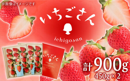 【2027年1月発送開始】いちごさん（450g×2パック） / フルーツ 苺 / 佐賀県 / JAからつ 唐津うまかもん市場 [41ABCA002]