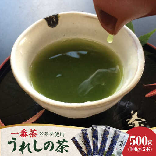[一番摘み茶葉のみを使用!]老舗茶屋川原茶業の嬉野茶(一番茶かぶせ玉緑茶100g×5本入) / 佐賀県 / 株式会社川原茶業 