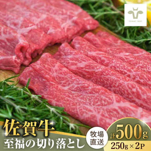 佐賀牛切り落とし 計500g(250g×2袋) / 佐賀県 / 有限会社佐賀セントラル牧場 