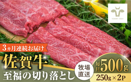 [全3回定期便]佐賀牛至福の切り落とし 計1.5kg(250g×2袋×3回) / 佐賀県 / 有限会社佐賀セントラル牧場 