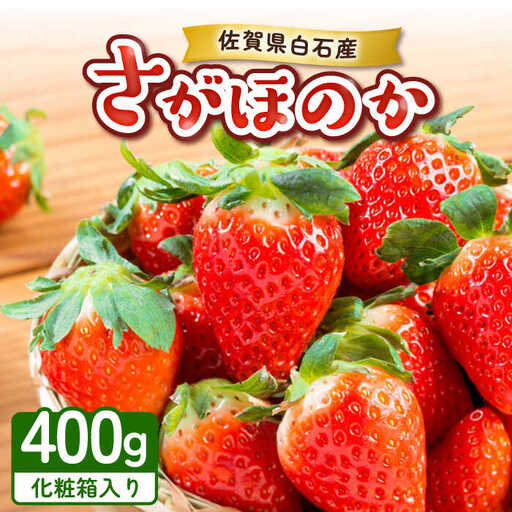 【2027年1月以降順次発送】【化粧箱入り】白石産いちご「さがほのか」400g / 佐賀県 いちご / 岸川農園 [41ASAG003]