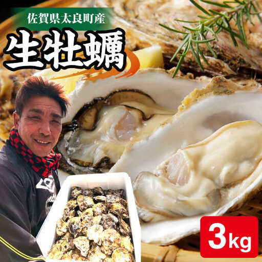 【2027年1月以降発送】竹崎産 ブランド生牡蠣「ゆり姫」3kg（ナイフ付き） / 牡蠣 / 佐賀県 / 宗徳丸 [41ATAF003]
