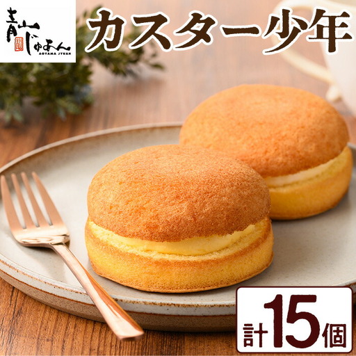 No.1048 カスター少年(15個入)鹿児島 日置市 特産品 お菓子 洋菓子 菓子 おかし スイーツ おやつ  カスタード クリーム 冷凍 冷凍配送 ギフト【青山じゅあん】