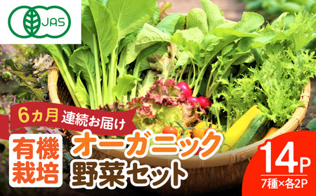 [全6回定期便]オーガニック葉物野菜セット 7種×2パック 有機JAS / 佐賀県 / 株式会社サガンベジ 