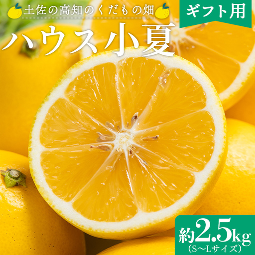 【2027年出荷分】小夏 (日向夏) 小夏 2.5kg ギフト用 kd-0031