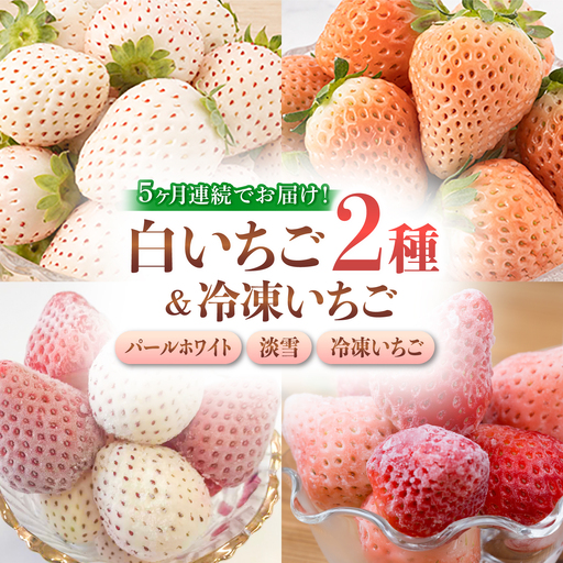【全5回定期便】白いちご2種と冷凍いちご / いちご イチゴ 苺 果物 フルーツ 定期便 / 佐賀県ふるさと納税 [41AAZZ004]