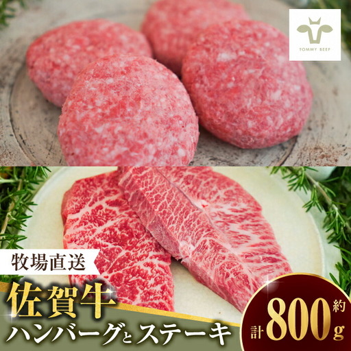 佐賀牛100％ハンバーグ4個と赤身ステーキ300g [41ASAA090]
