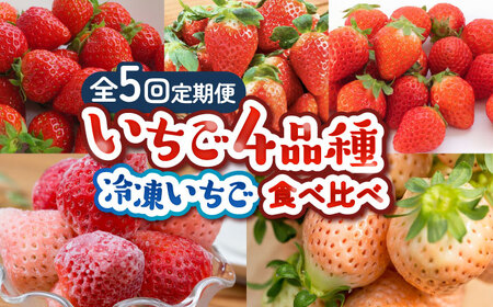 【全5回定期便】佐賀県産 いちご4品種（いちごさん・さがほのか・よつぼし・淡雪）と冷凍いちご食べ比べ / 佐賀県 / 岸川農園 [41ASAG039]