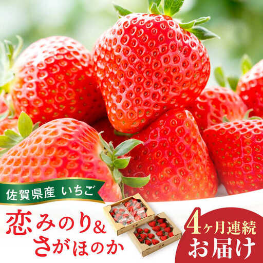 【全4回定期便】交互にお届け！恋みのり・さがほのか 220g×2パック×4回 / 佐賀県 / 鐘ヶ江農園 [41ASBK002]