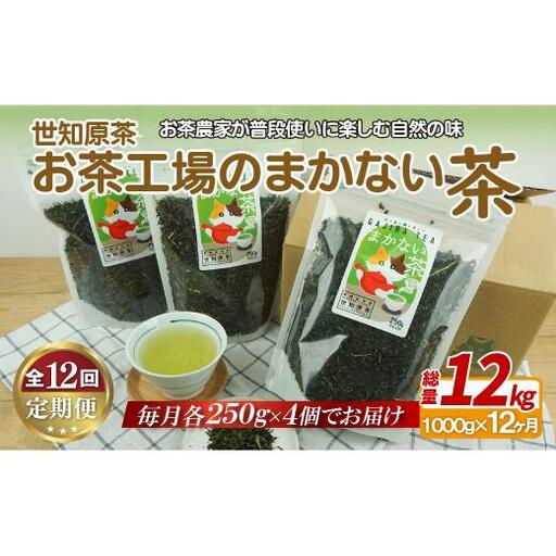 世知原茶お茶工場のまかない茶【12回定期便】
