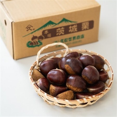 茨城県かすみがうら市産　熟成倉方栗(生栗)約2kg〈2026年11月中旬より順次発送予定〉_果物・フルーツ 栗  くり クリ_【配送不可地域：離島】【1454975】