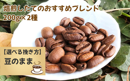 焙煎したてのおすすめブレンド 200g×2種(豆) No.171-01