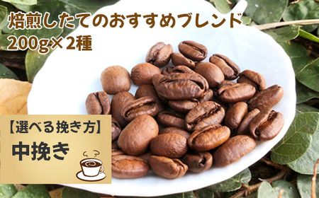 焙煎したてのおすすめブレンド 200g×2種(中挽き) No.171-03