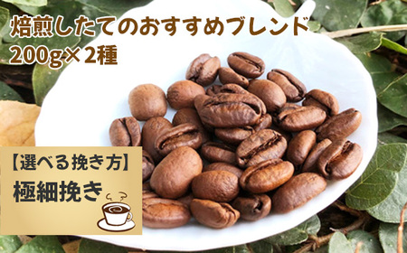 焙煎したてのおすすめブレンド 200g×2種(極細挽き) No.171-05