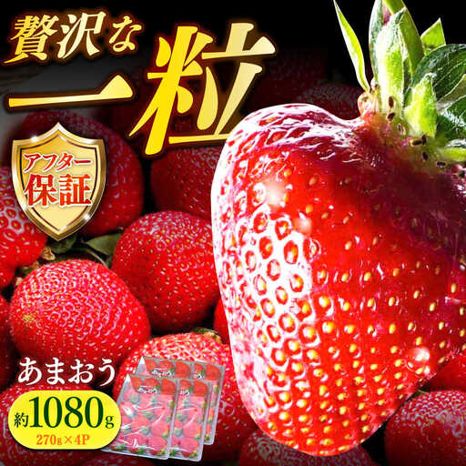 【先行予約】いちご 朝採り あまおう 約270g×4 [ABDG004] 果物 あまおう