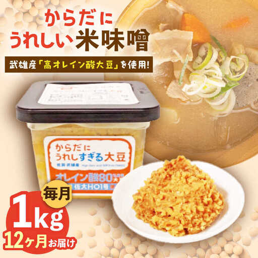 【12回定期便】米味噌 1kg（500g×2個）なるせみそ /角味噌醤油 [UAX012] ミソ