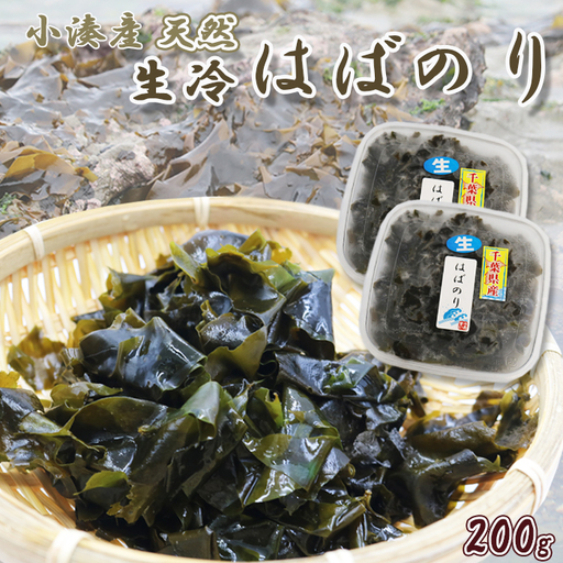 【極味のひもの特製】房州小湊産 天然『生冷 はばのり』200g《数量限定》　[0010-0284]