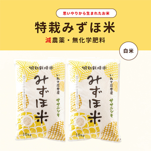 特別栽培みずほ米 ササニシキ 白米  20kg（10kg×2袋）　【1760】