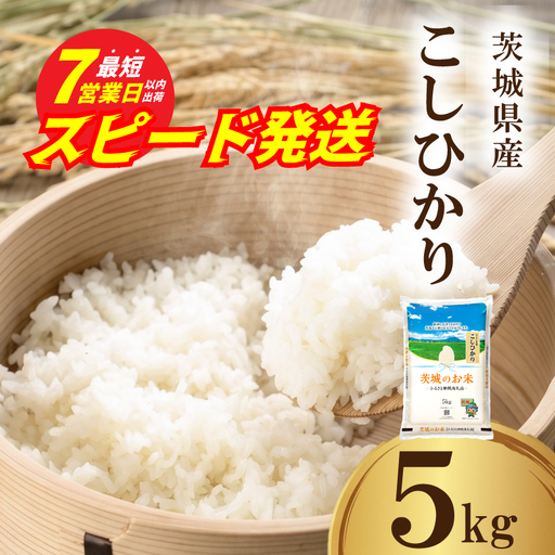 スピード発送!! [ 令和7年産 ] 茨城県産 コシヒカリ 5kg