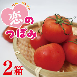 数量限定★JA 恋のつぼみ(フルーツトマト2箱)|トマト フルーツトマト 恋のつぼみ 先行予約 数量限定 野菜 茨城県 行方市(AE-6)