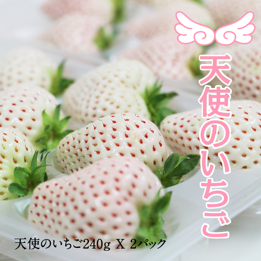 【先行予約】R9年1月中旬頃出荷開始 佐賀県産いちご 天使のいちご 240g X 2パック いちご 果物 B120-065