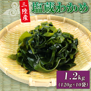 塩蔵わかめ 1.2Kg 120g×10袋 わかめ 塩蔵 海鮮 海藻 魚貝類 魚介類 小分け みそ汁 スープ 酢の物 岩手県 大船渡市