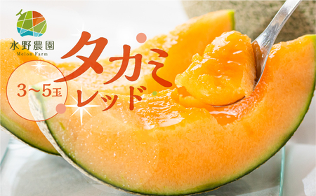 《先行予約》タカミレッド 5kg 3～5玉 メロン 水野農園