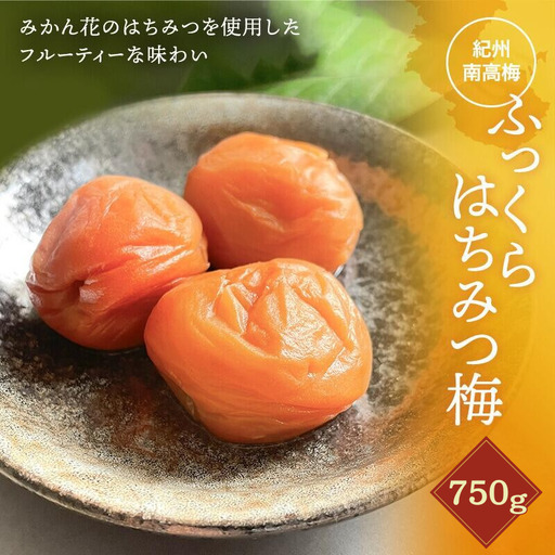梅干し ふっくらはちみつ梅 計750g（約250g×3個） 【kfo011-1】