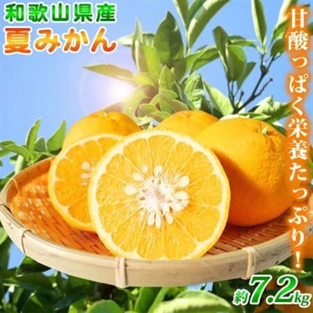 [2027年4月中旬より発送]夏みかん7.2kg[日高町]
