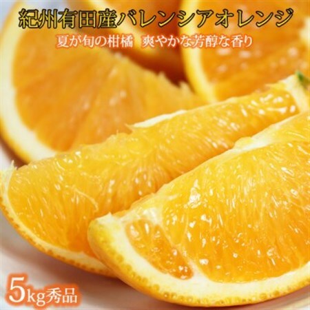 【2027年6月下旬頃発送】秀品　希少な国産バレンシアオレンジ　5kg【日高町】【配送不可地域：離島】【1216979】